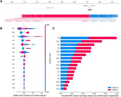 A machine learning-based risk warning platform for potentially inappropriate prescriptions for elderly patients with cardiovascular disease